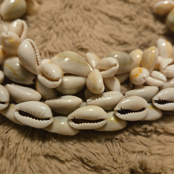 Cockle Shell Necklace - Picture 2 of 2